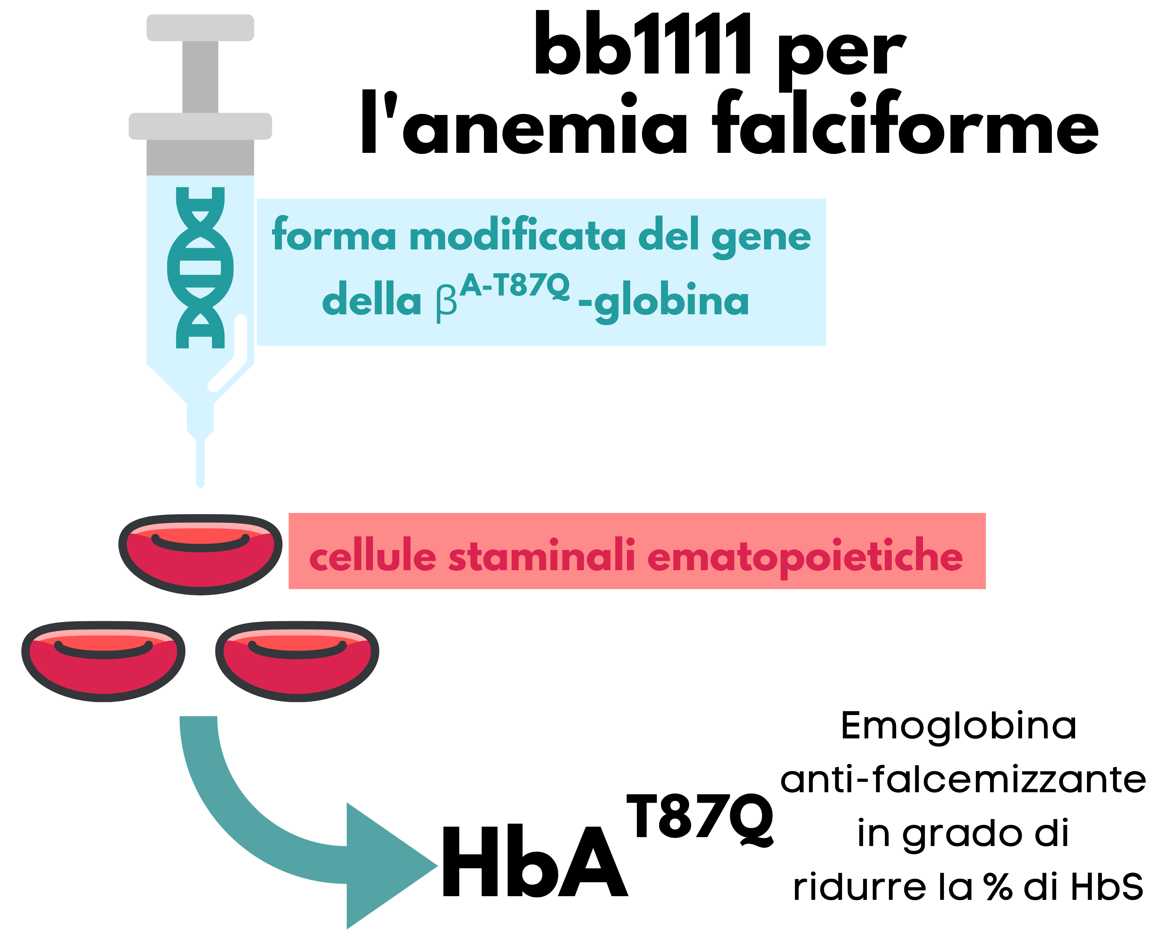bb1111 per l'anemia falciforme permette la totale eliminazione degli eventi vaso-occlusivi severi 